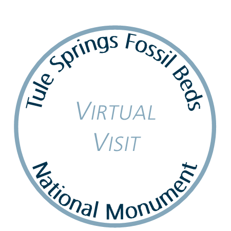 Virtual Passport Stamp: America's National Parks