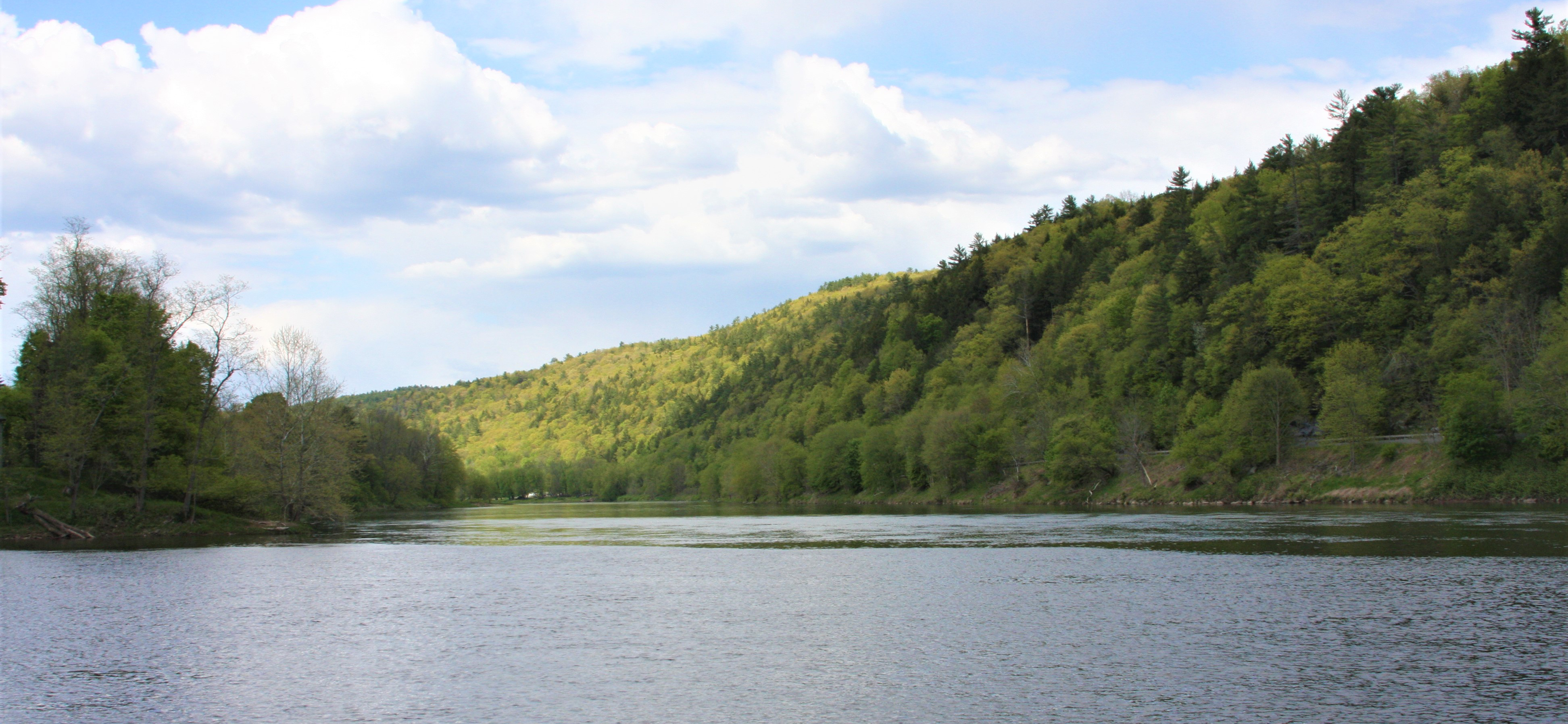 view of a river with green leafy trees lining banks. Hills in distance. Sky is blue with puffy white clouds.
