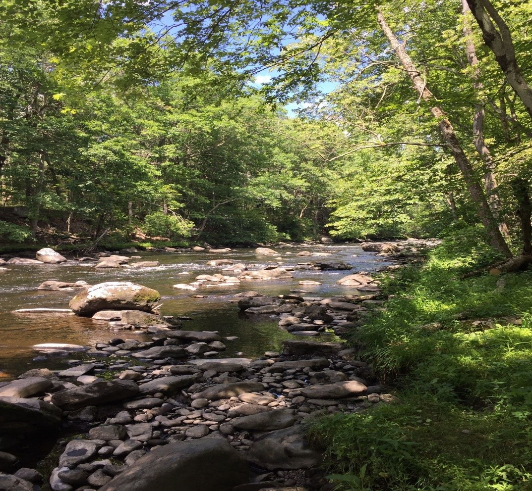 Take A Hike! on the Mongaup River Trail - Upper Delaware Scenic