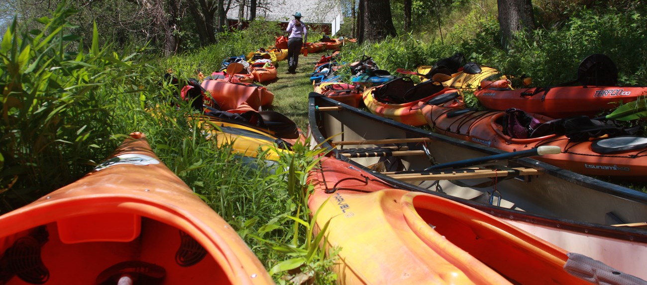 dozens of colorful kayaks line a narrow walking path up a grassy hill