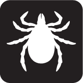 black and white icon of tick. Tick is a wide teardrop shape with head at top. Head is split halfway down middle so each side is pointed. Tick has 8 legs, four on each side of body.