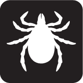 black and white icon of tick. Tick is a wide teardrop shape with head at top. Head is split halfway down middle so each side is pointed. Tick has 8 legs, four on each side of body.