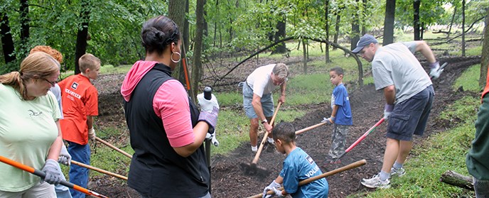 Volunteers spread mulch in a forest.