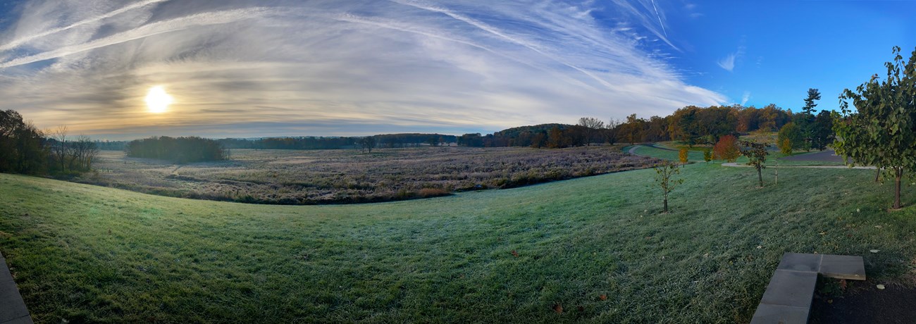a frosty meadow in the morning