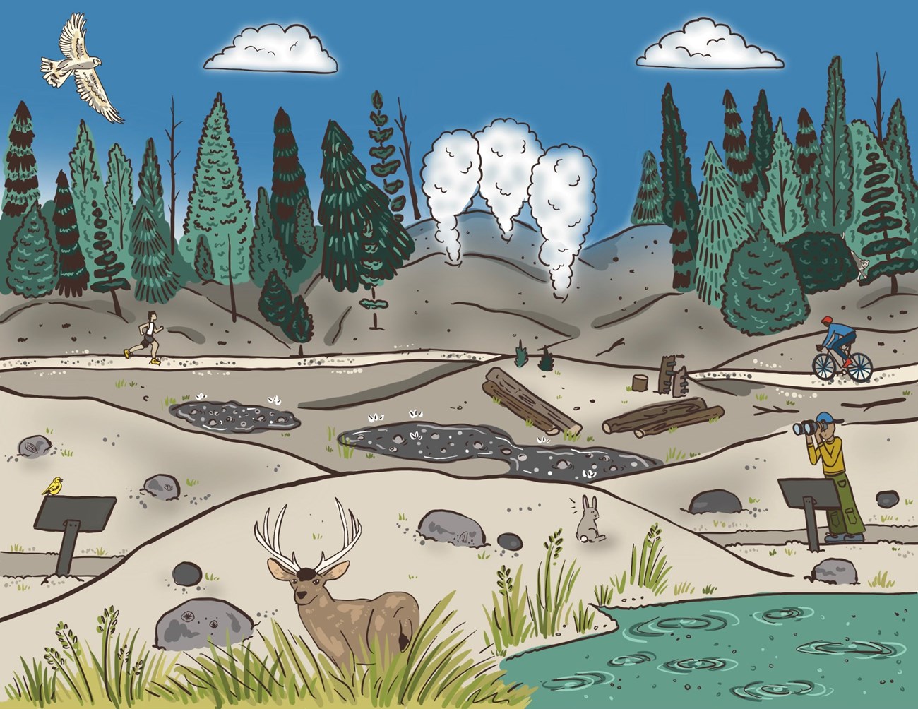 A color illustration of a geothermal area with bubbling springs, steam vents, and visitors enjoying the outdoors.