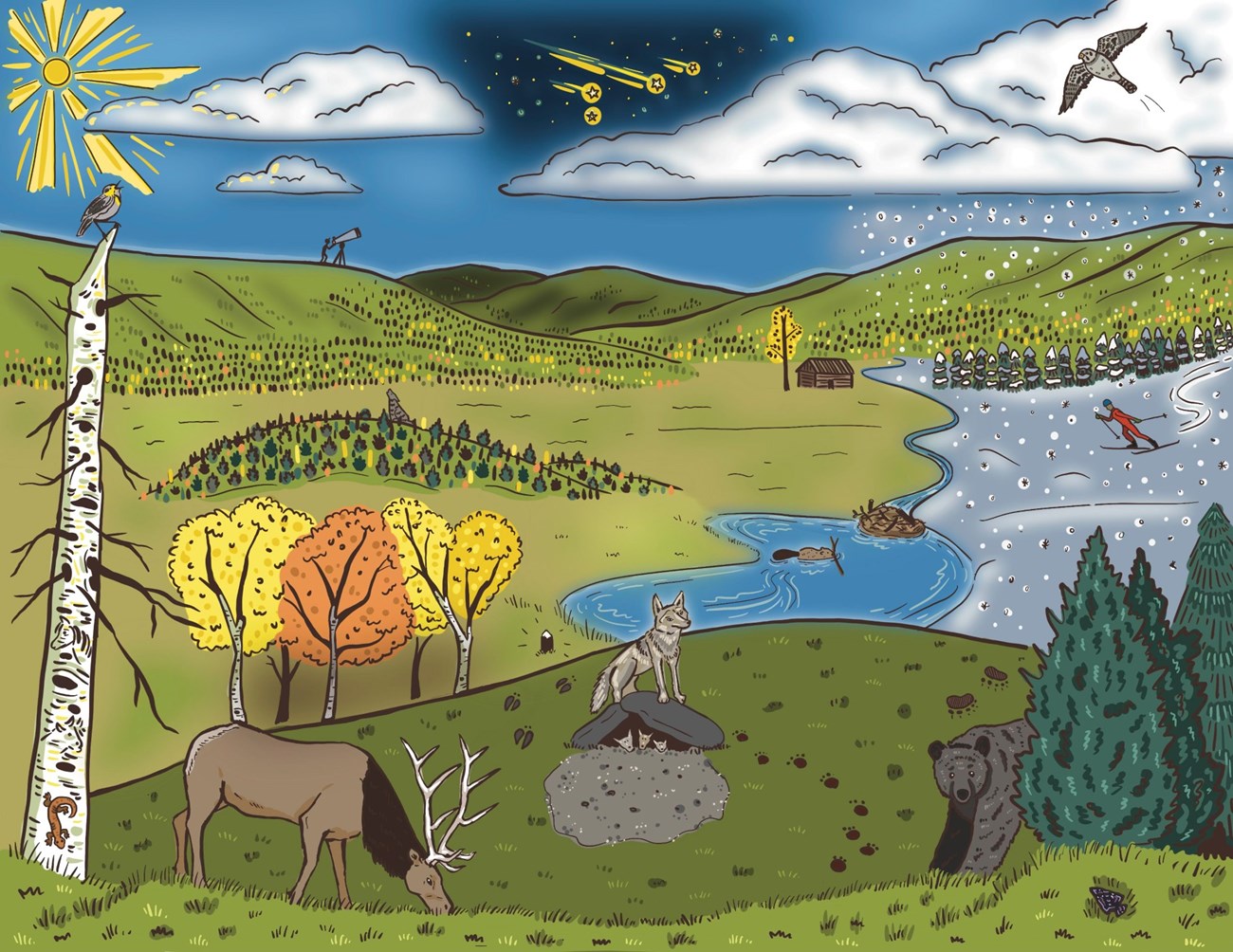 A color illustration of a montane grassland filled with wildlife like elk, birds, prairie dogs, and coyotes.