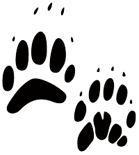Black badger tracks on a white background.