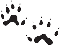 Black weasel tracks on a white background.