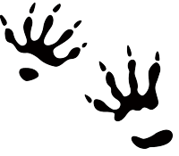 A black pika track on a white background.