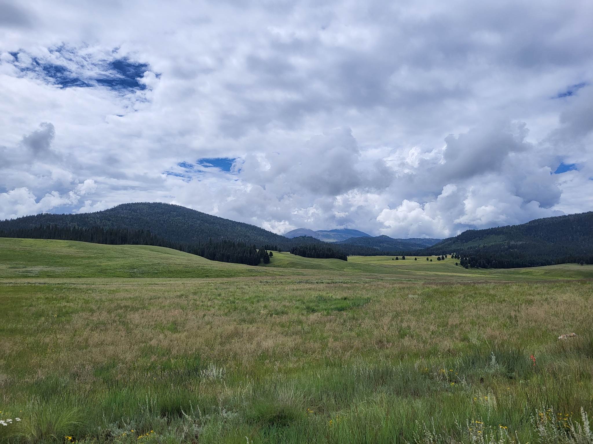 View of Valle San Antonio and some of the forested lava domes