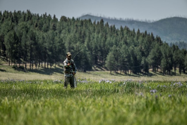 A fisherman stands in a montane grassland and casts using a flyrod.