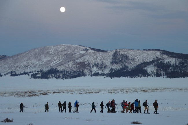 A park ranger leads a long line of snowshoers through a snowy valley with the full moon rising behind them.