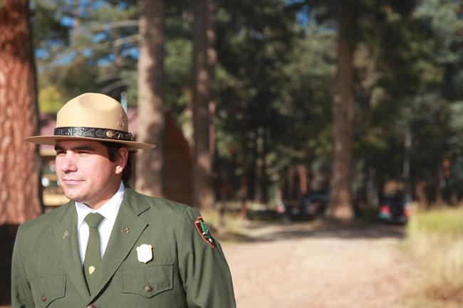 A park ranger in a formal uniform stands at the edge of an old-growth forest.