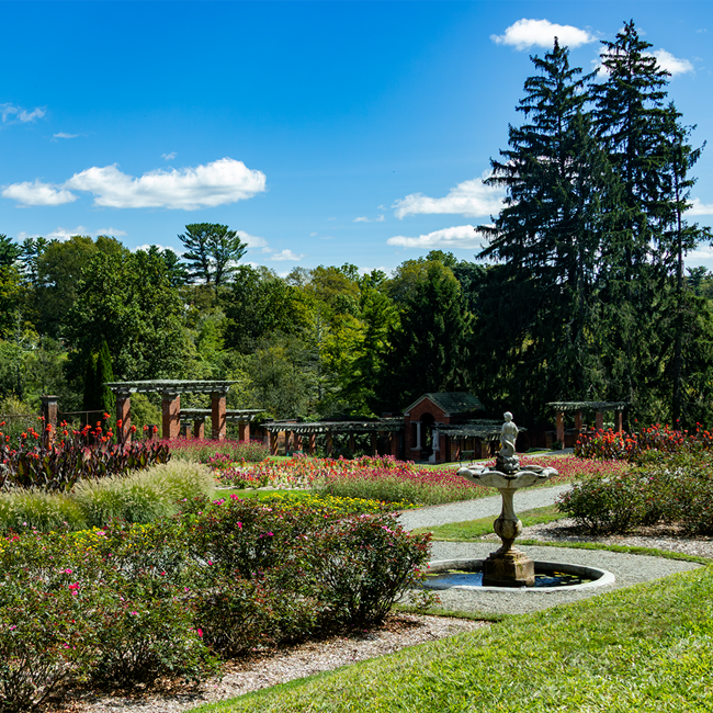Luscious garden with red and green flowers and fauna. A small fountain with a child statue stands in the middle of the garden.