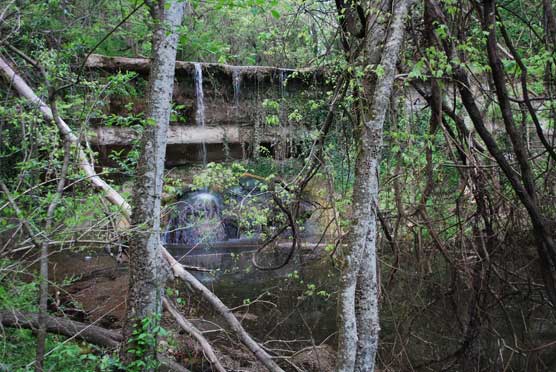 mint-spring-waterfall-DSC_5604