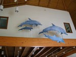 a pod of 4 dolphin models, shown in swimming action, hanging from the Visitor Center rafters