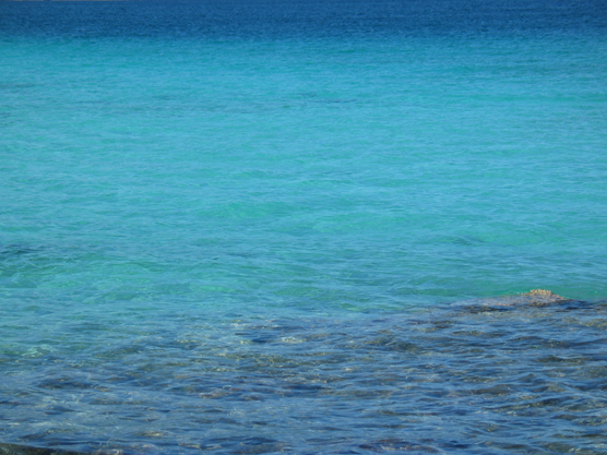 view across the surface of turquoise-colored, tropical marine water
