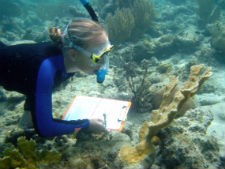 Researcher Collecting Data
