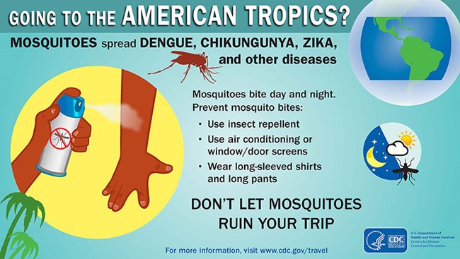 CDC Mosquito Poster