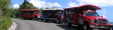 Visitors aboard a safari taxi at the Trunkl Bay Overlook.