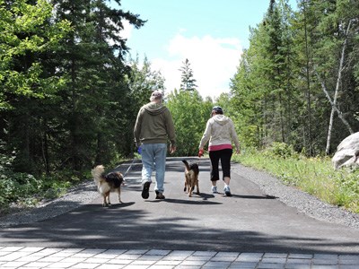 A couple walks with two leashed dogs down a paved trail bordered by scenic forests.