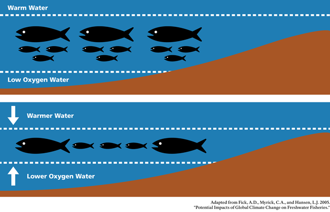 temperature and oxygen graph of water
