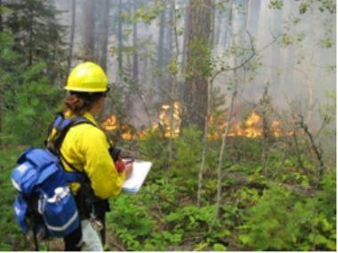 A fire fighter records data on Mica Island in 2007.