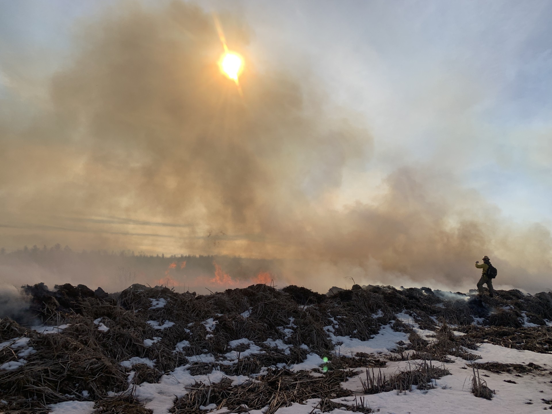 Smoke rising above burning cattails on a late winter day with a wildland fire fighter safely standing in the distance