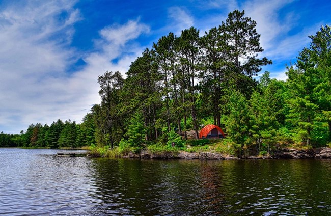 A tent is nestles beneath tall pine trees on a rocky shoreline with a bright blue sky above.