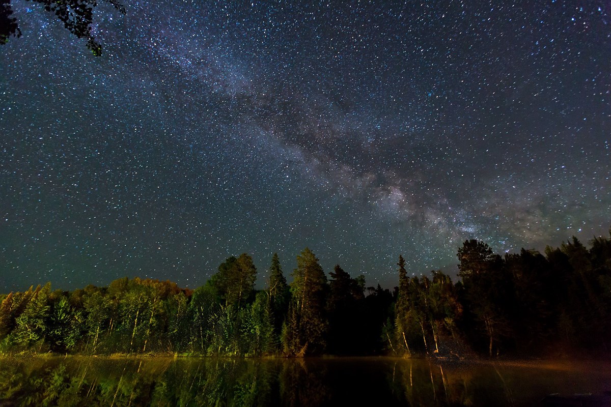 Night sky view of the Milky Way over a forest.