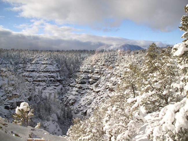 Snow in Walnut Canyon