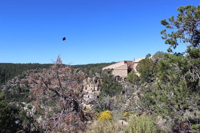 The Walnut Canyon Visitor Center sits on the edge of the canyon. This site provides stunning perspectives of the canyon and cliff dwellings.