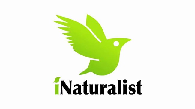 iNaturalist Logo for Mammoth Trackers