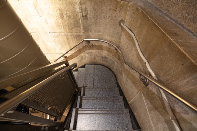 Staircase with tactile flooring and handrails on either side leading down to the exhibit level.