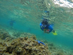 Reef Rangers Exploring Coral Reefs at Asan Beach