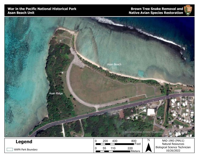 This map depicts an aerial view of Asan Beach Park. To the left and right side of Asan Ridge, the Pacific ocean acts as a natural barrier to prevent snake reinvasion. The road to the south of the ridge also acts as a barrier.