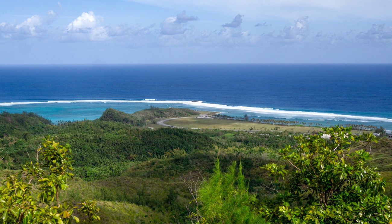 View of a heavily forested point of land sticking out into the ocean