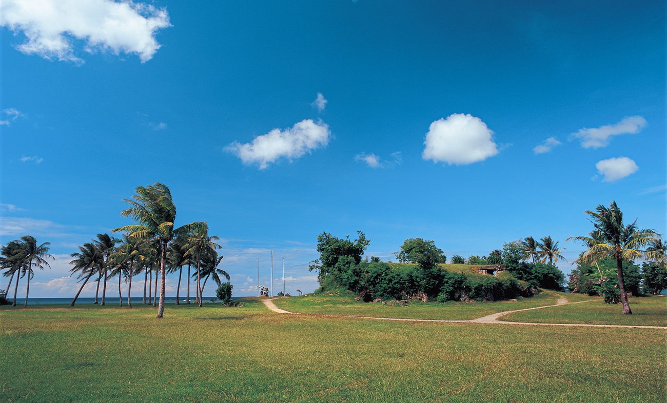 Wide angle shot showing a field next to a beach lined with palm trees. In the center are three flagpoles standing behind a large gun. To the right of the flagpoles is a low hill with a fortification built into it.