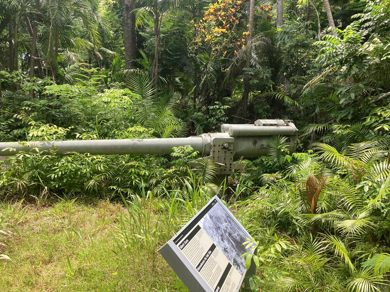 A large metal gun with a long barrel mounted on the ground in the middle of a forest. A wayfinding sign stands next to the gun.