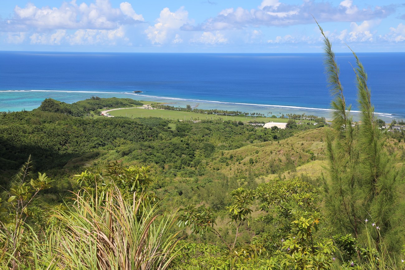 View down a green hill towards the ocean