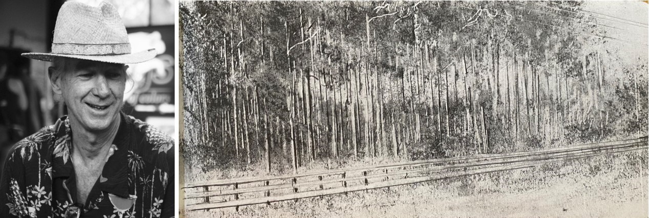 Headshot of artist Steven Bradbury on left and one of his black and white sketches of pine trees on right
