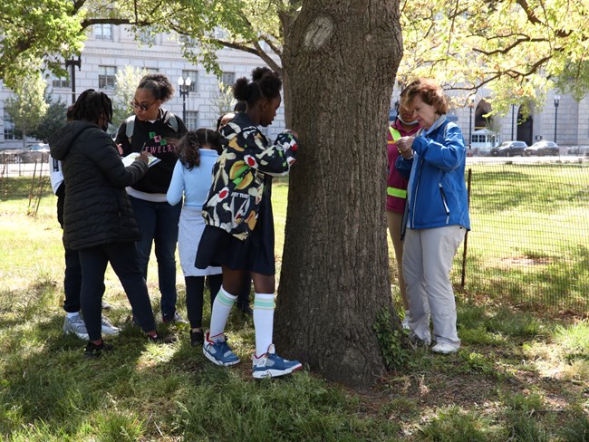 Education Volunteer assists students with measuring a tree