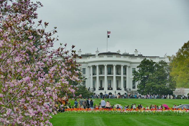 A view of the South Lawn of the White House during spring garden tours, with blossoming trees, flowers, and groups of walking visitors on the grounds