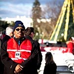 Volunteer at National Christmas Tree