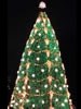 2000 National Christmas Tree (NPS Photo)