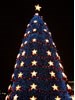 2001 National Christmas Tree (Photo by Peter N.  Moreno)
