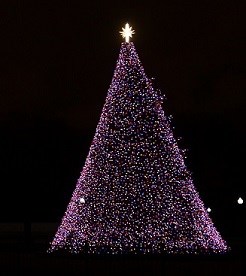 A Christmas tree, topped by a bright star and decorated with red, white and blue lights.