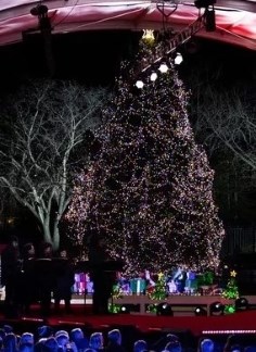 2023 National Christmas Tree lit with multicolor lights and surrounded by a stage