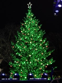 2024 National Christmas Tree lit with green and multicolor lights at night