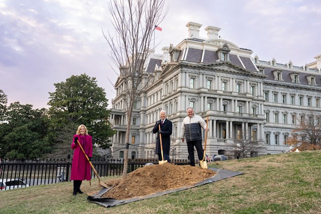 President Joe Biden, First Lady Jill Biden, and White House Superintendent of Grounds Dale Haney pose with shovels by a young elm tree in front of the Old Executive Office Building.